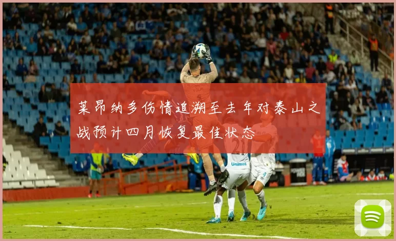 莱昂纳多伤情追溯至去年对泰山之战预计四月恢复最佳状态